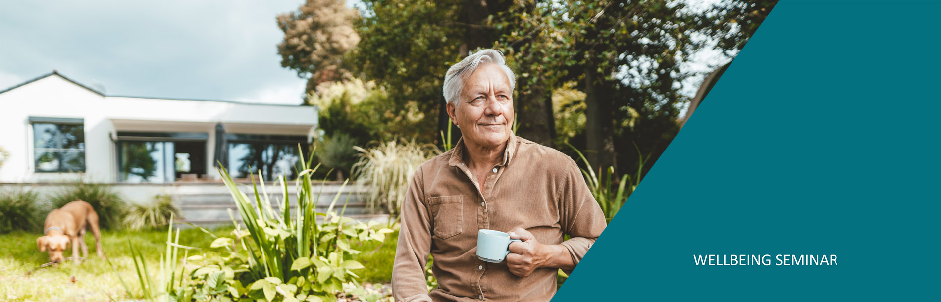 Elderly man siting in garden